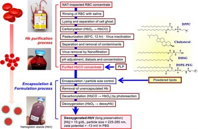 Research of storable and ready-to-use artificial red blood cells (hemoglobin vesicles) for emergency medicine and other clinical applications